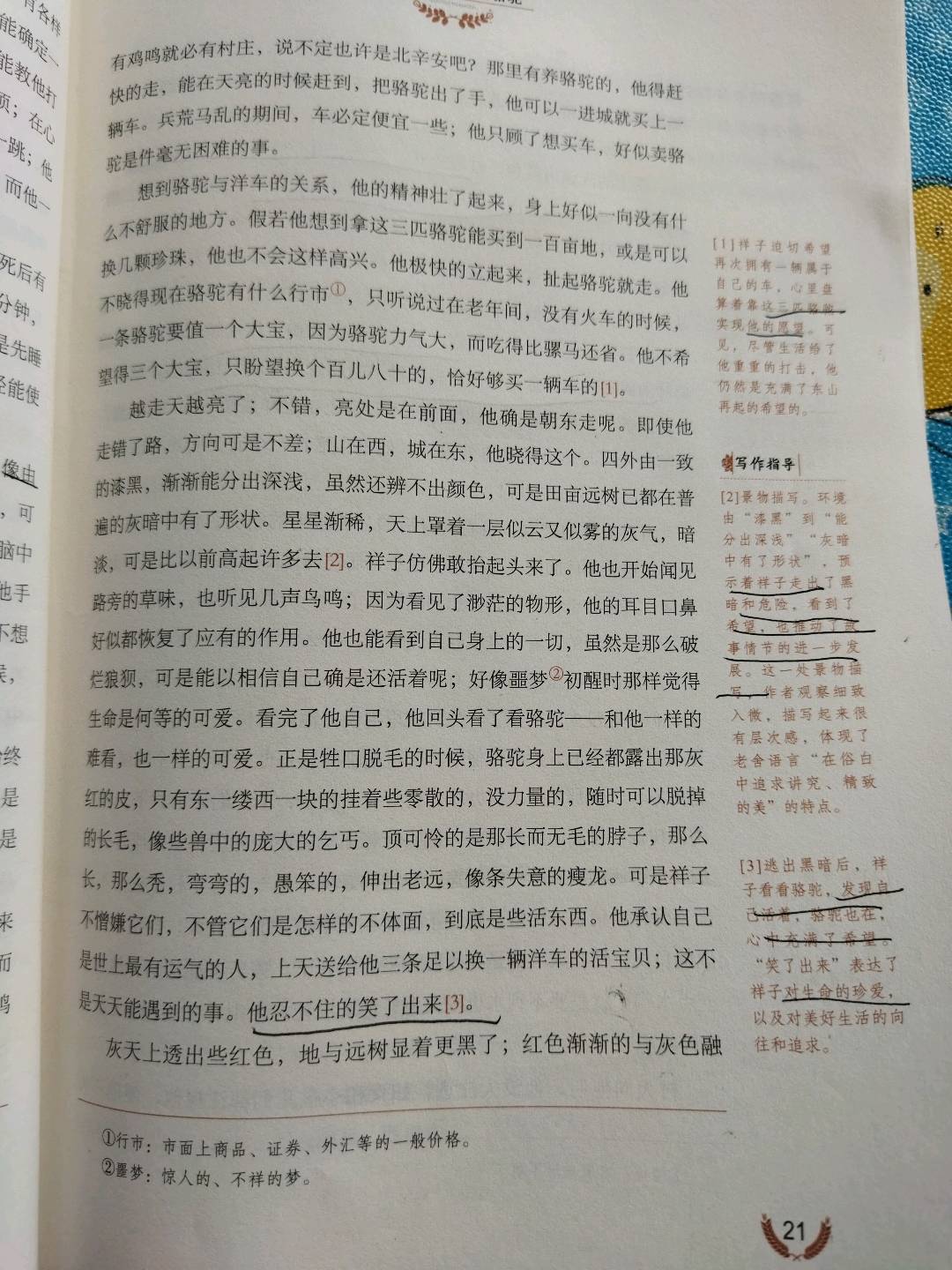 图像