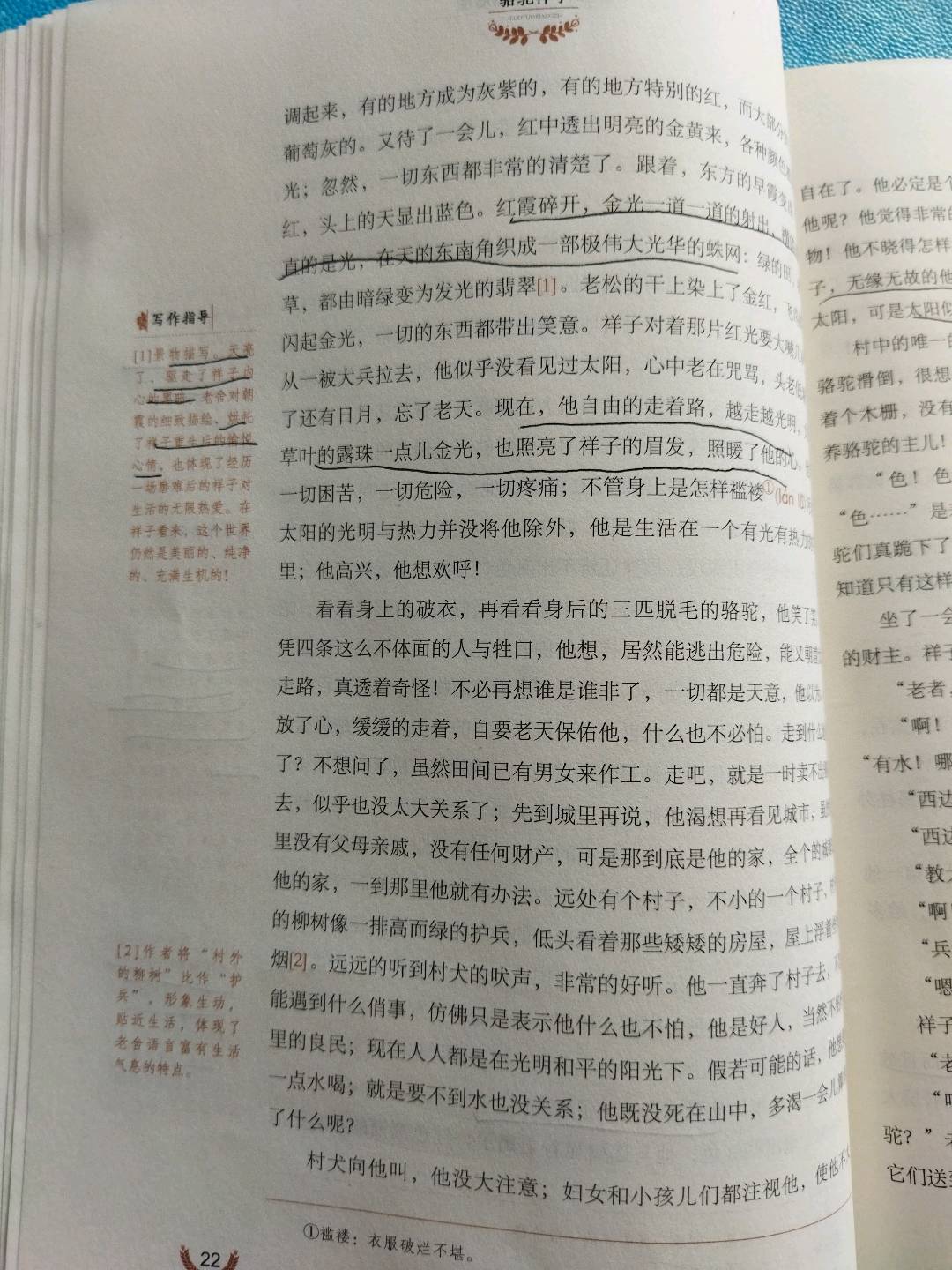 图像