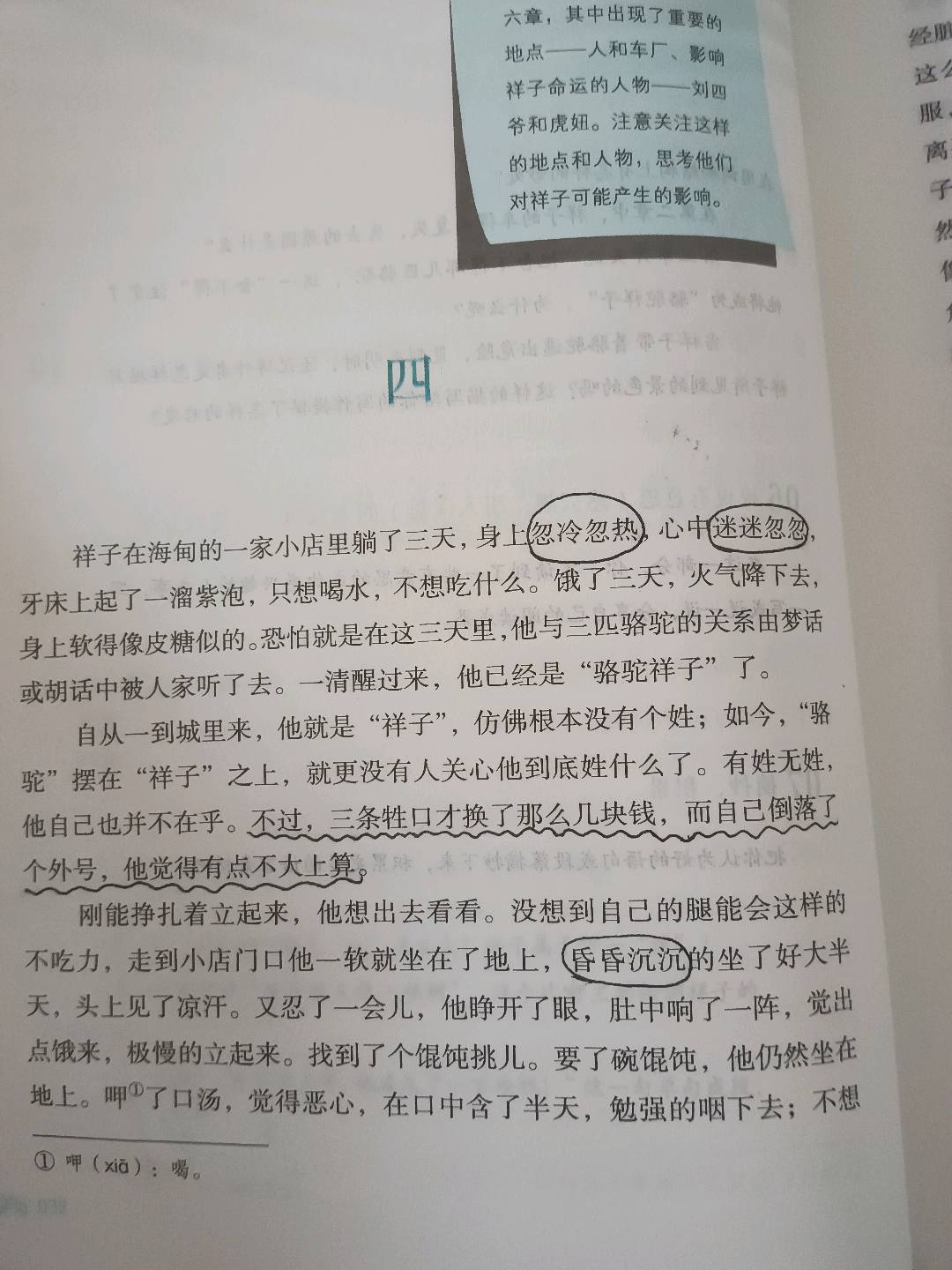 图像