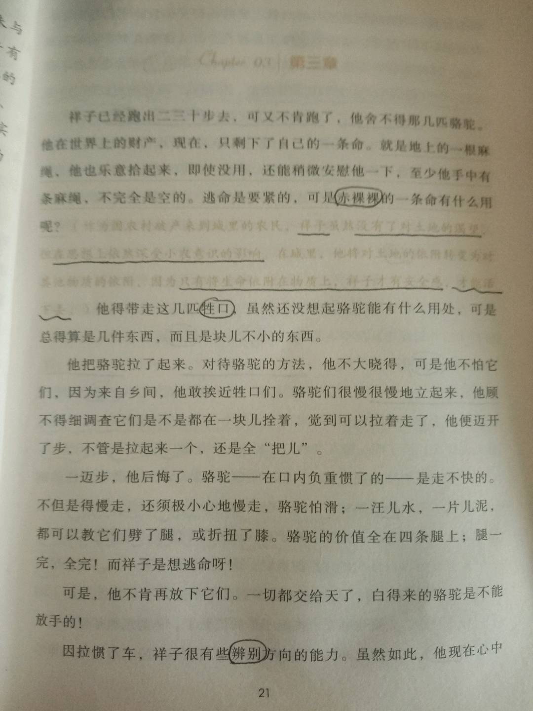 图像