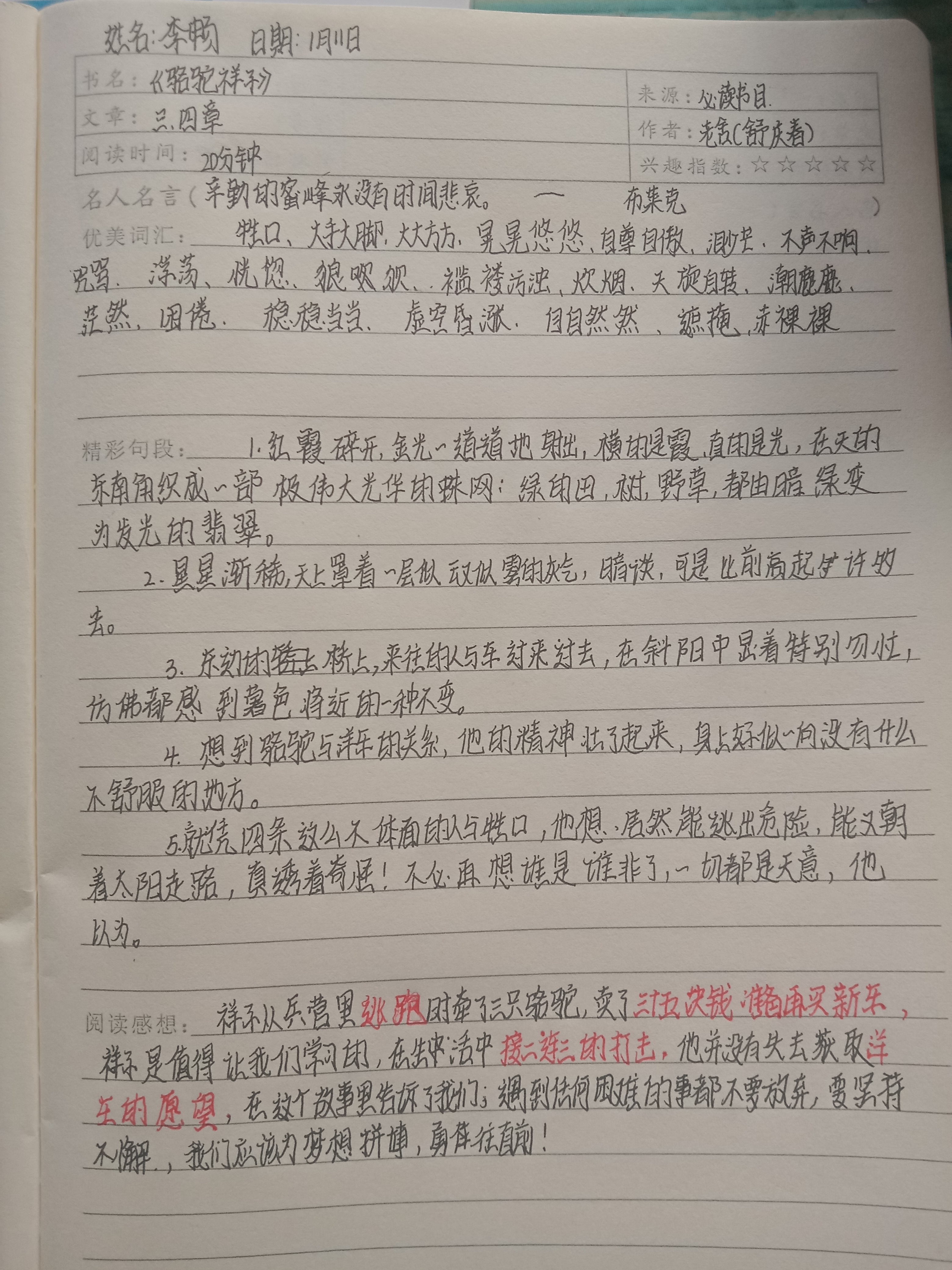 图像