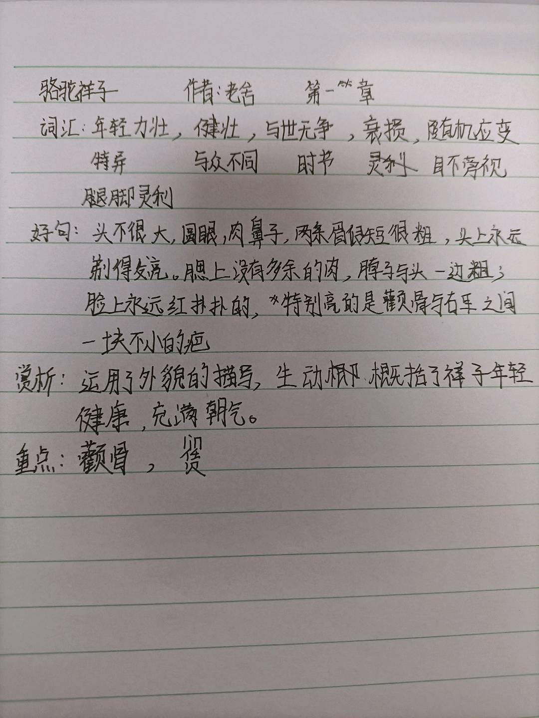 图像