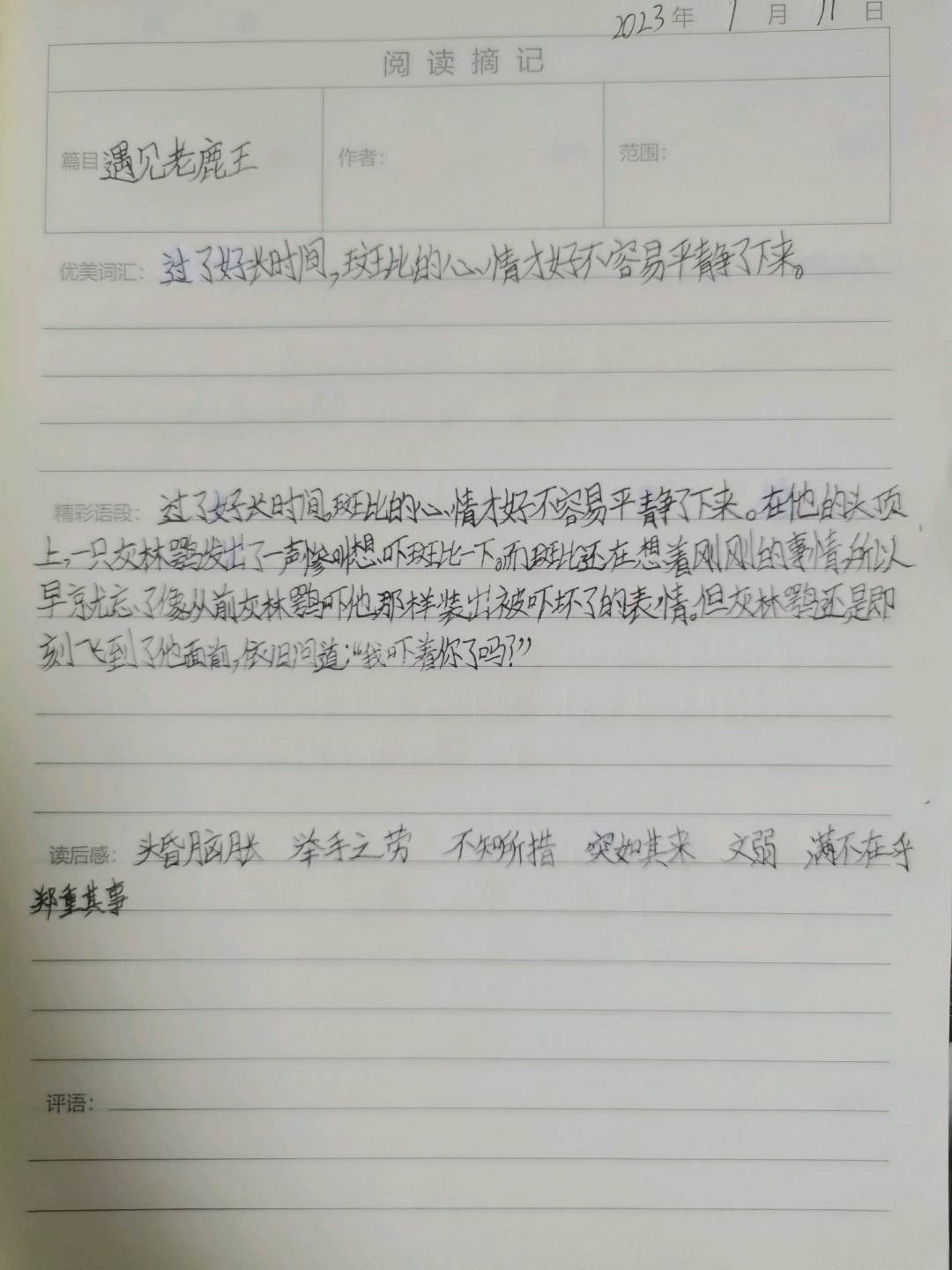 图像