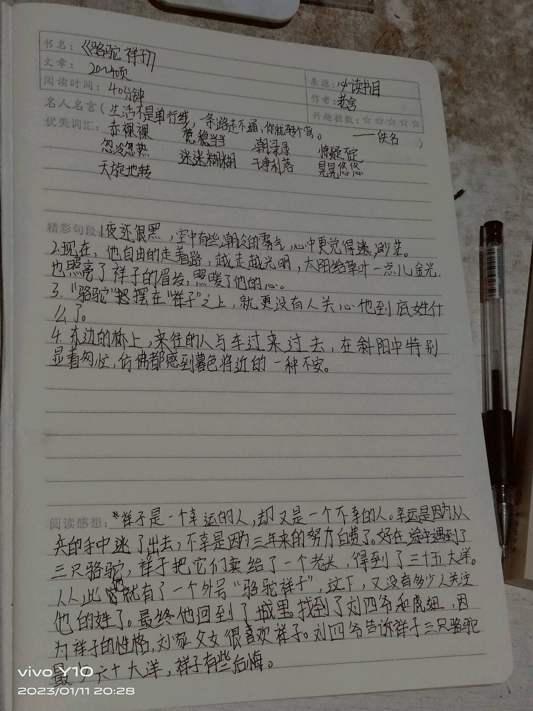 图像