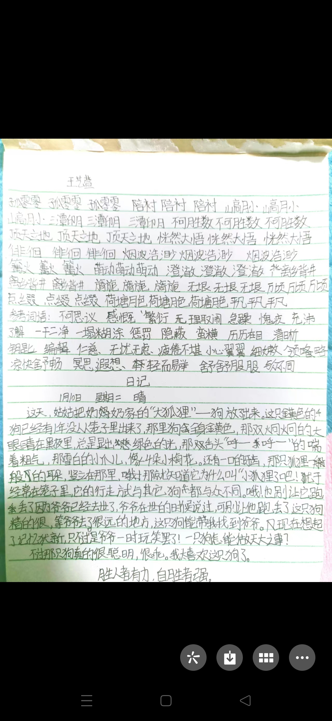 图像