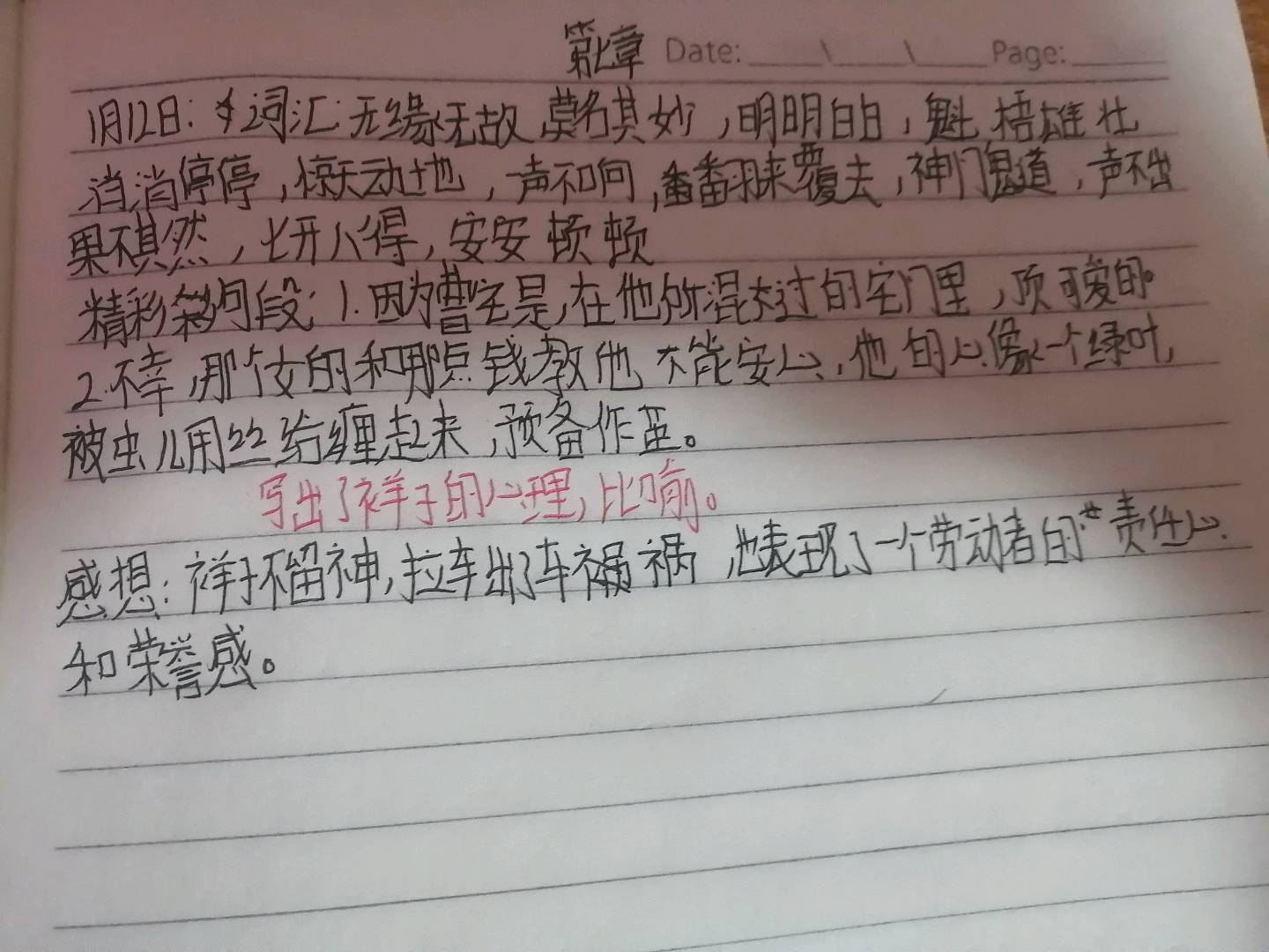 图像
