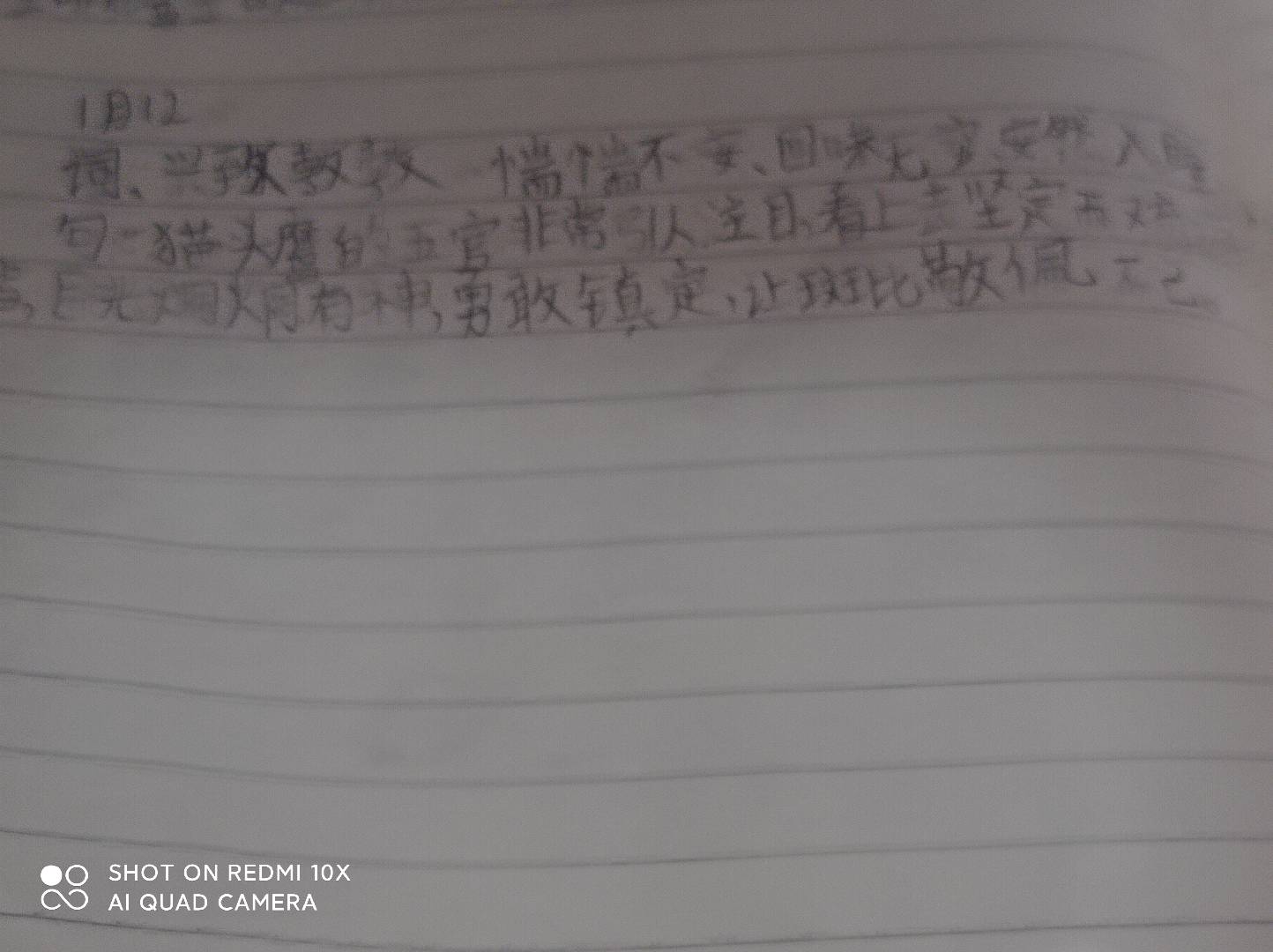 图像
