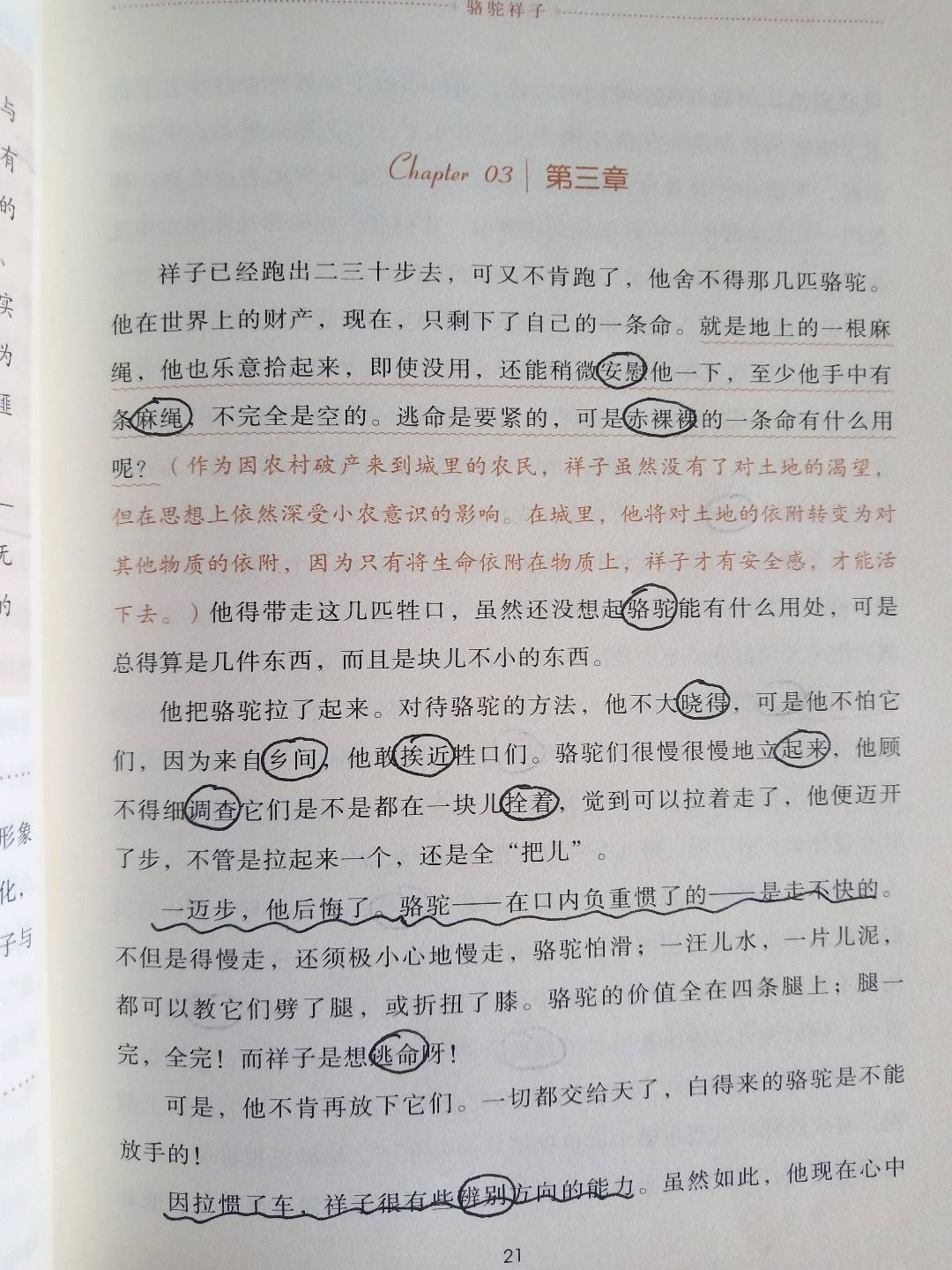 图像