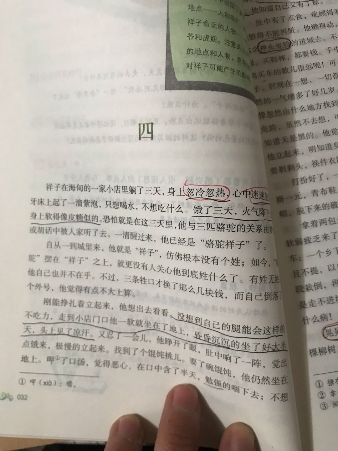 图像