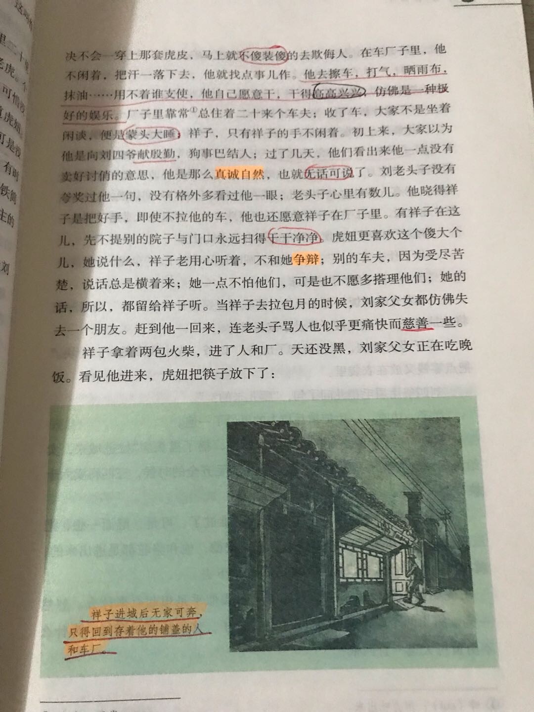 图像