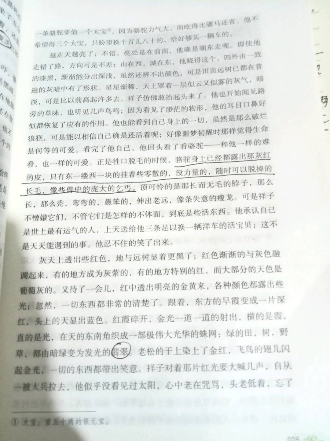 图像