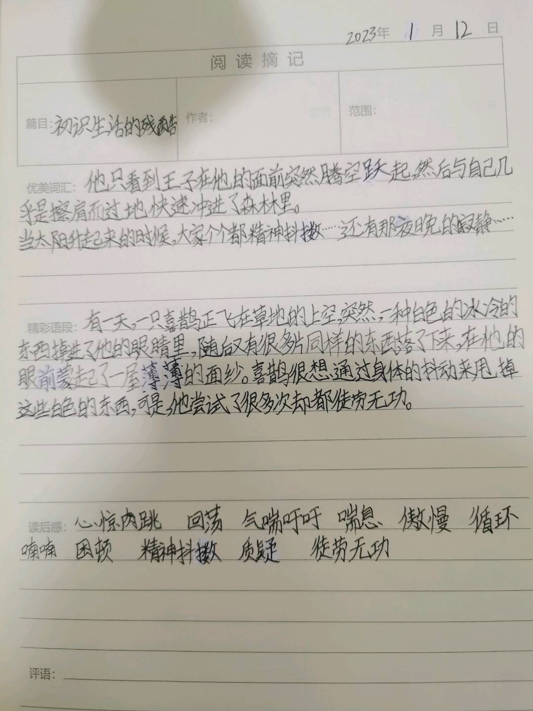 图像
