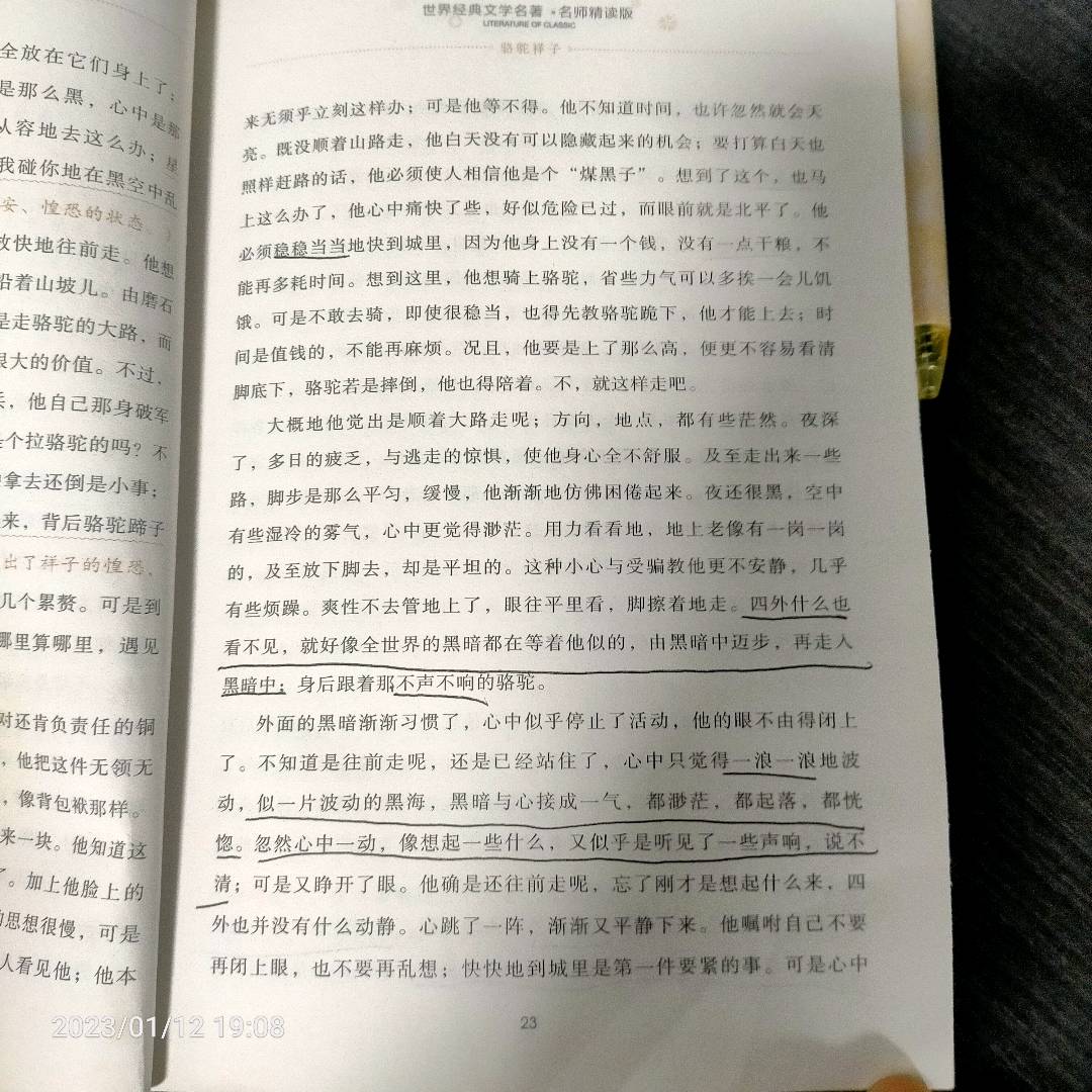 图像