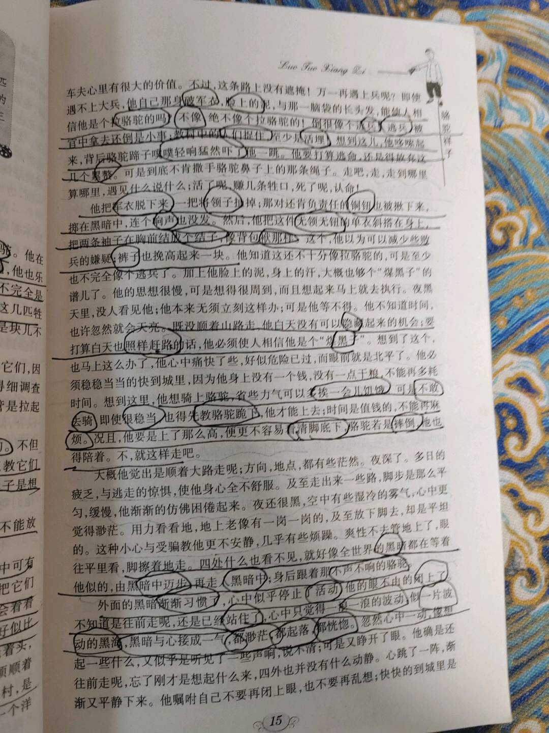 图像