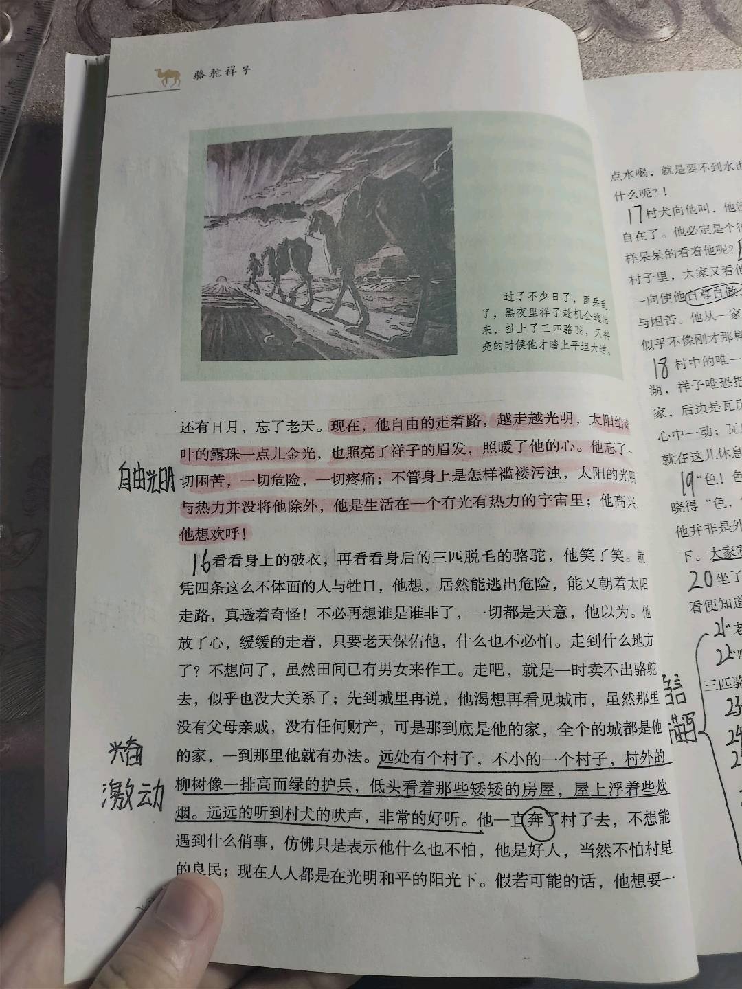 图像