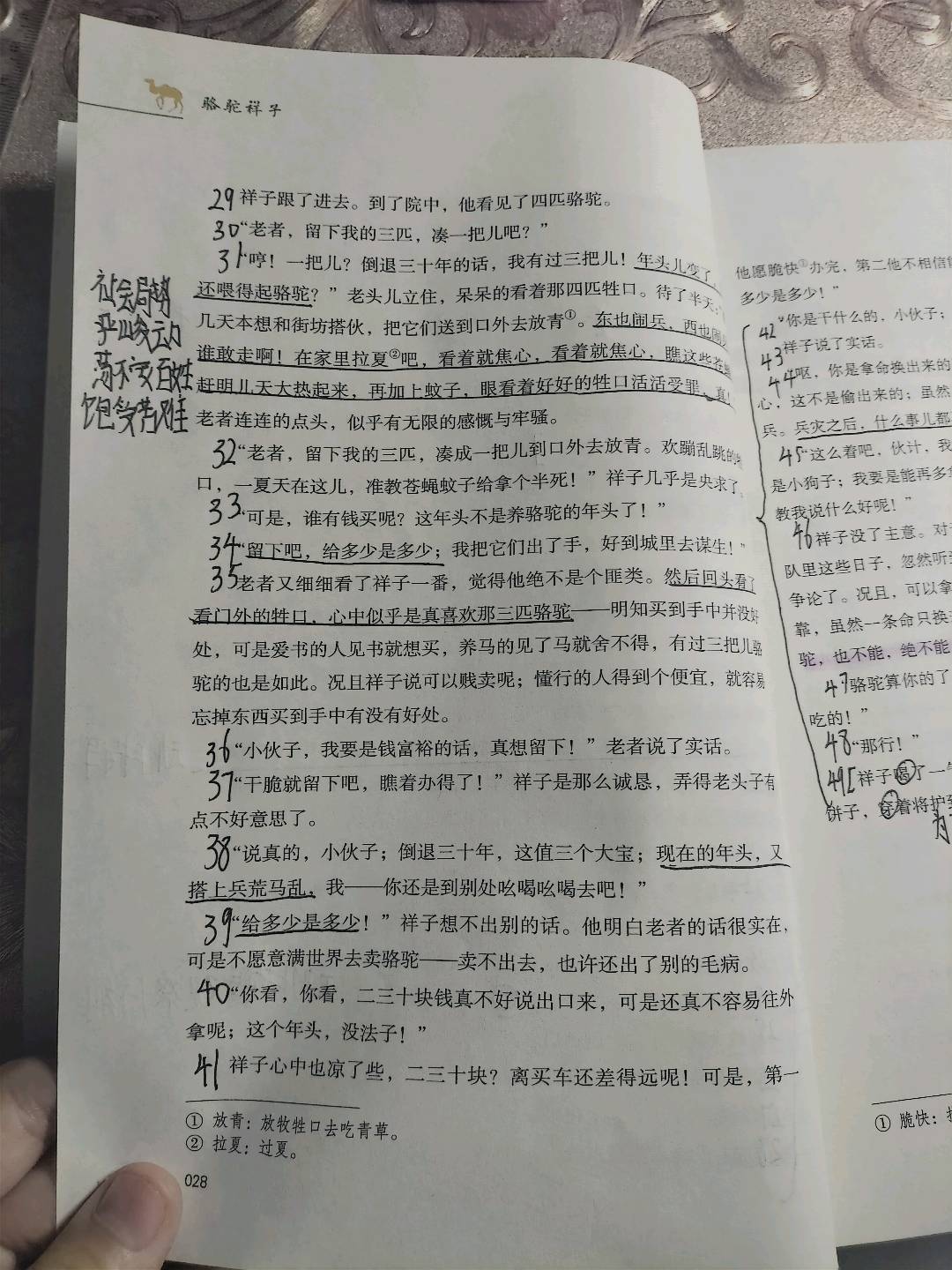 图像