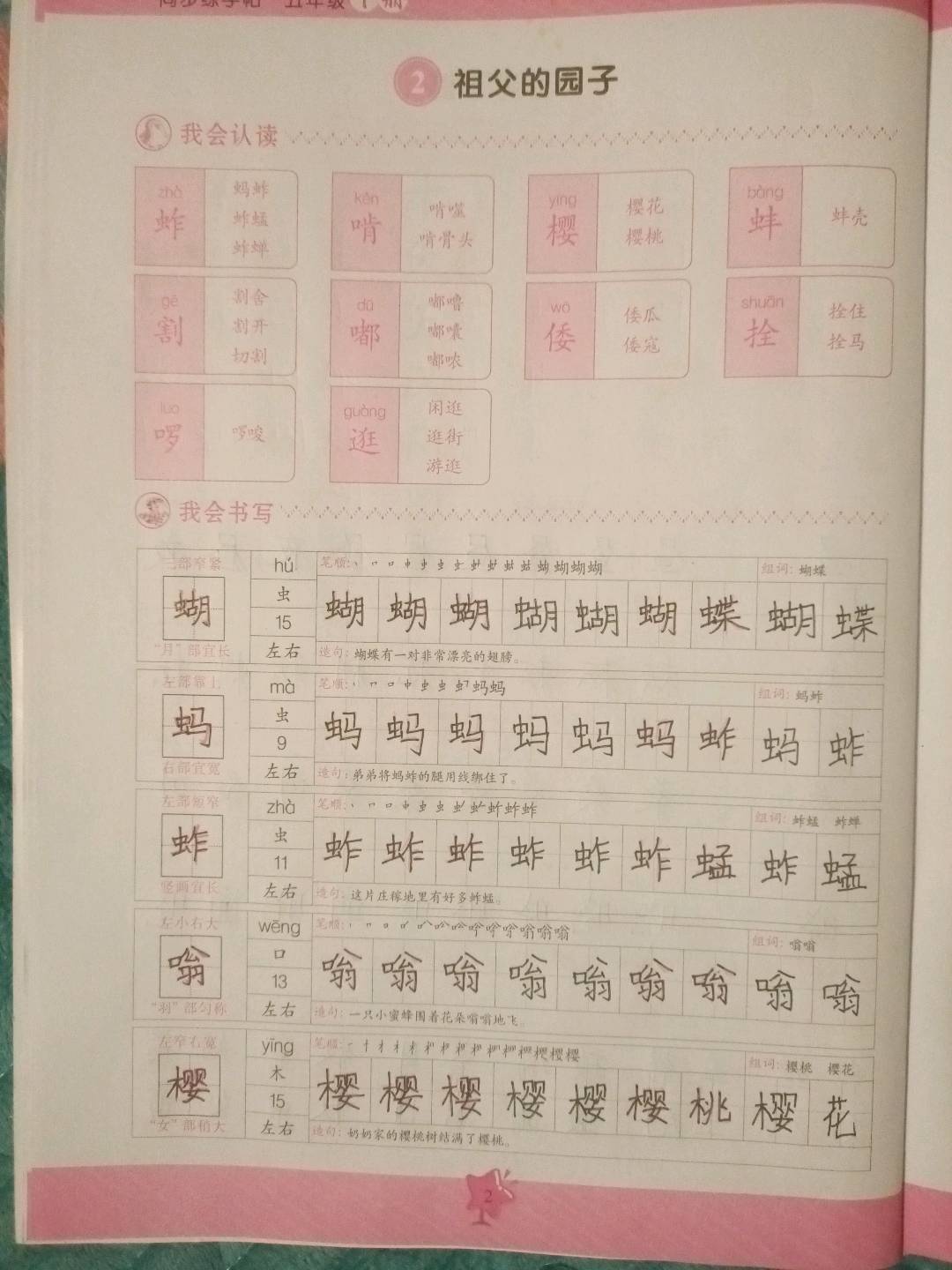 图像