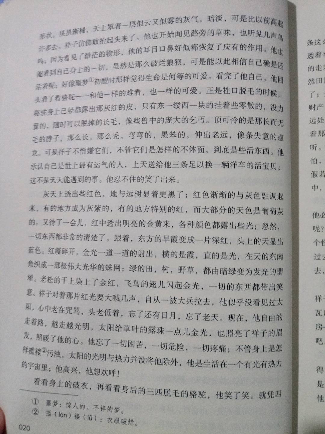 图像