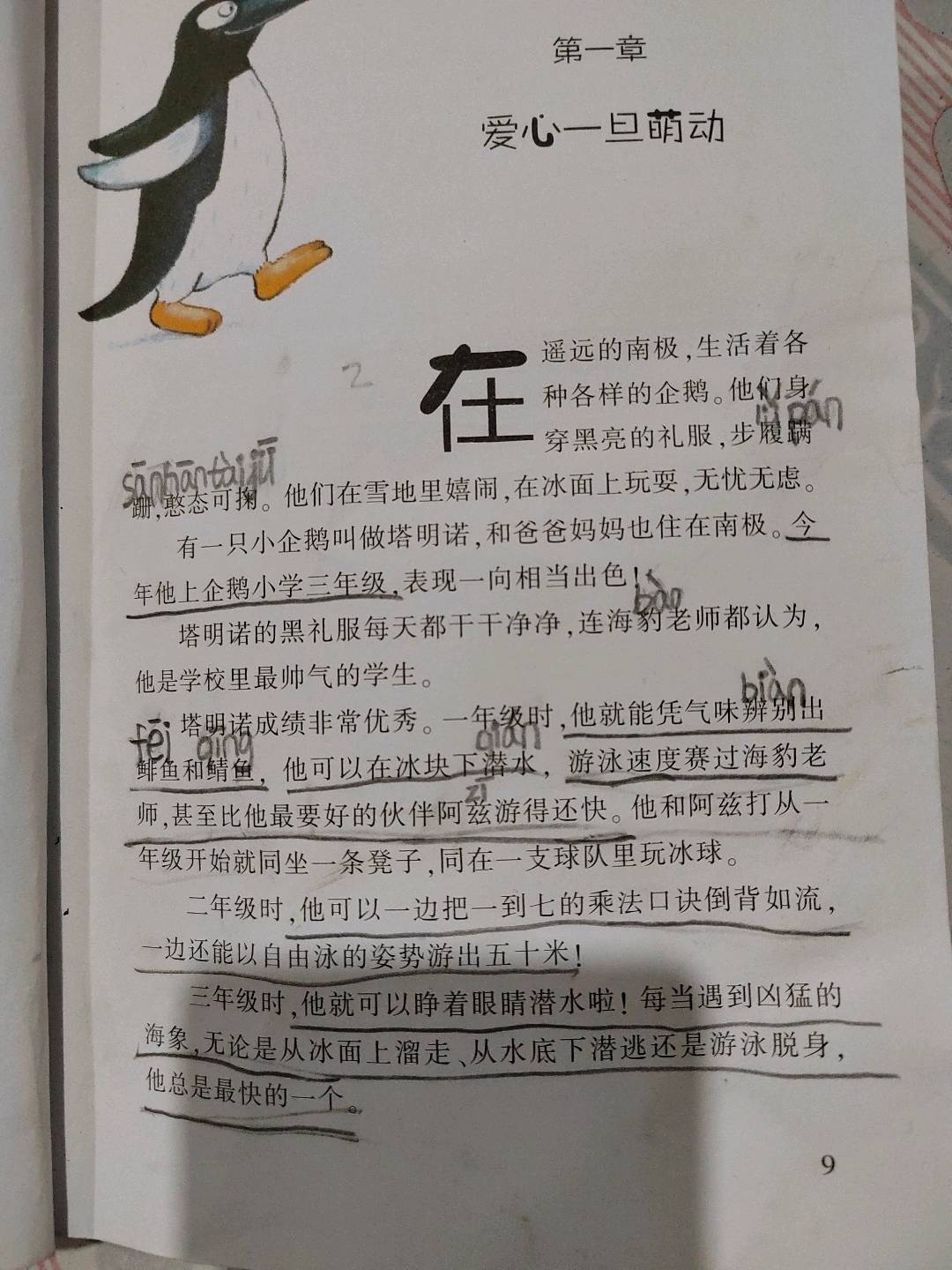 图像