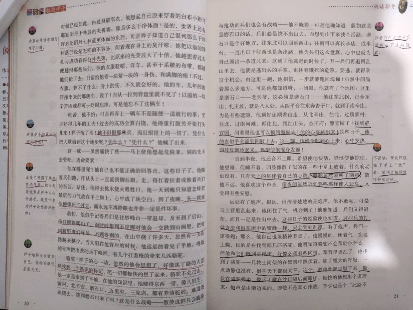 图像