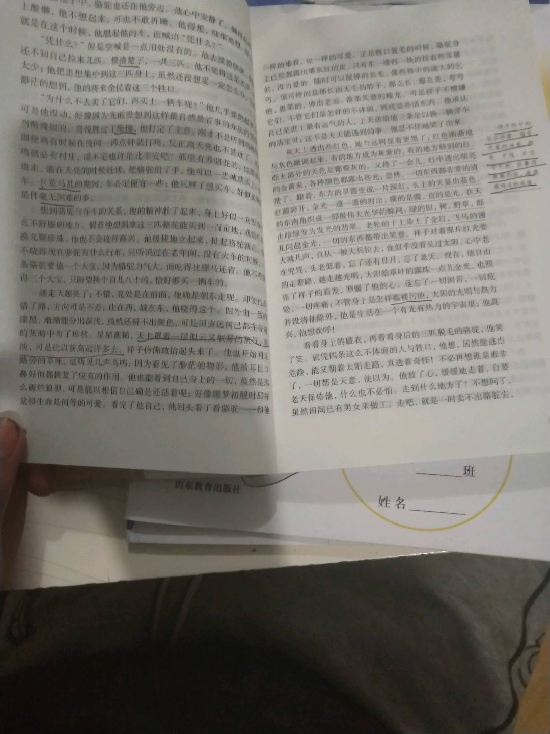 图像