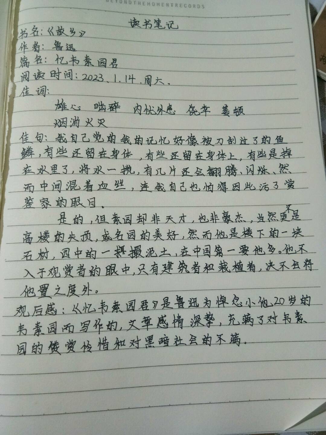 图像