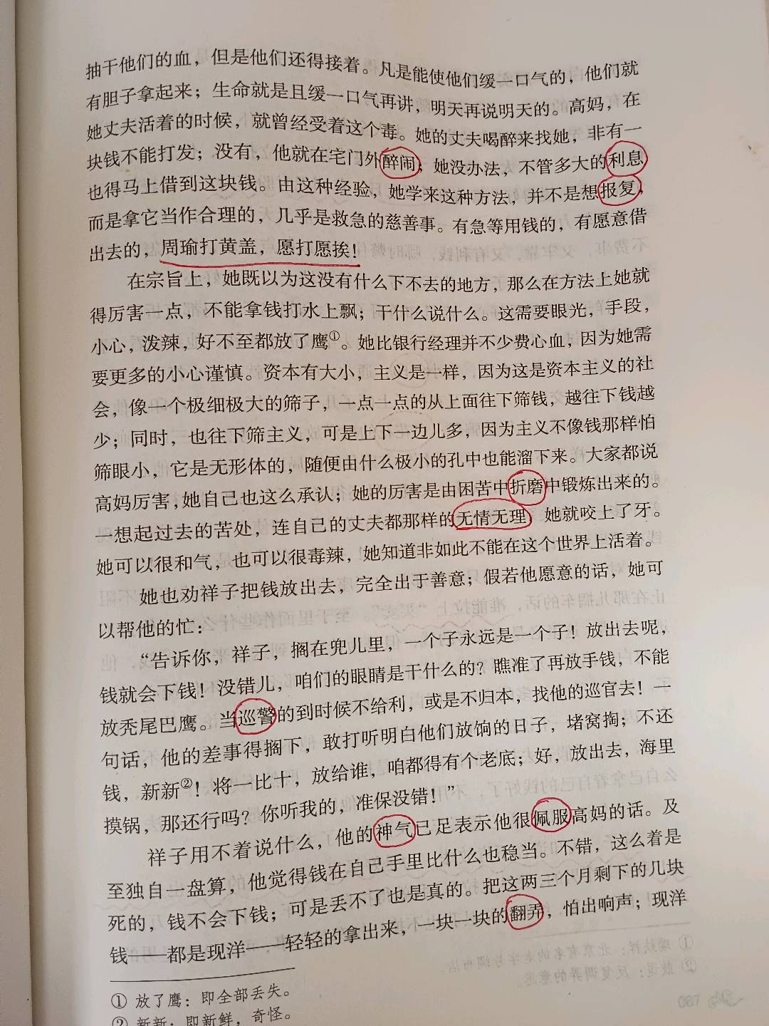 图像