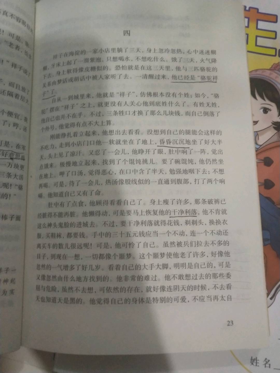 图像