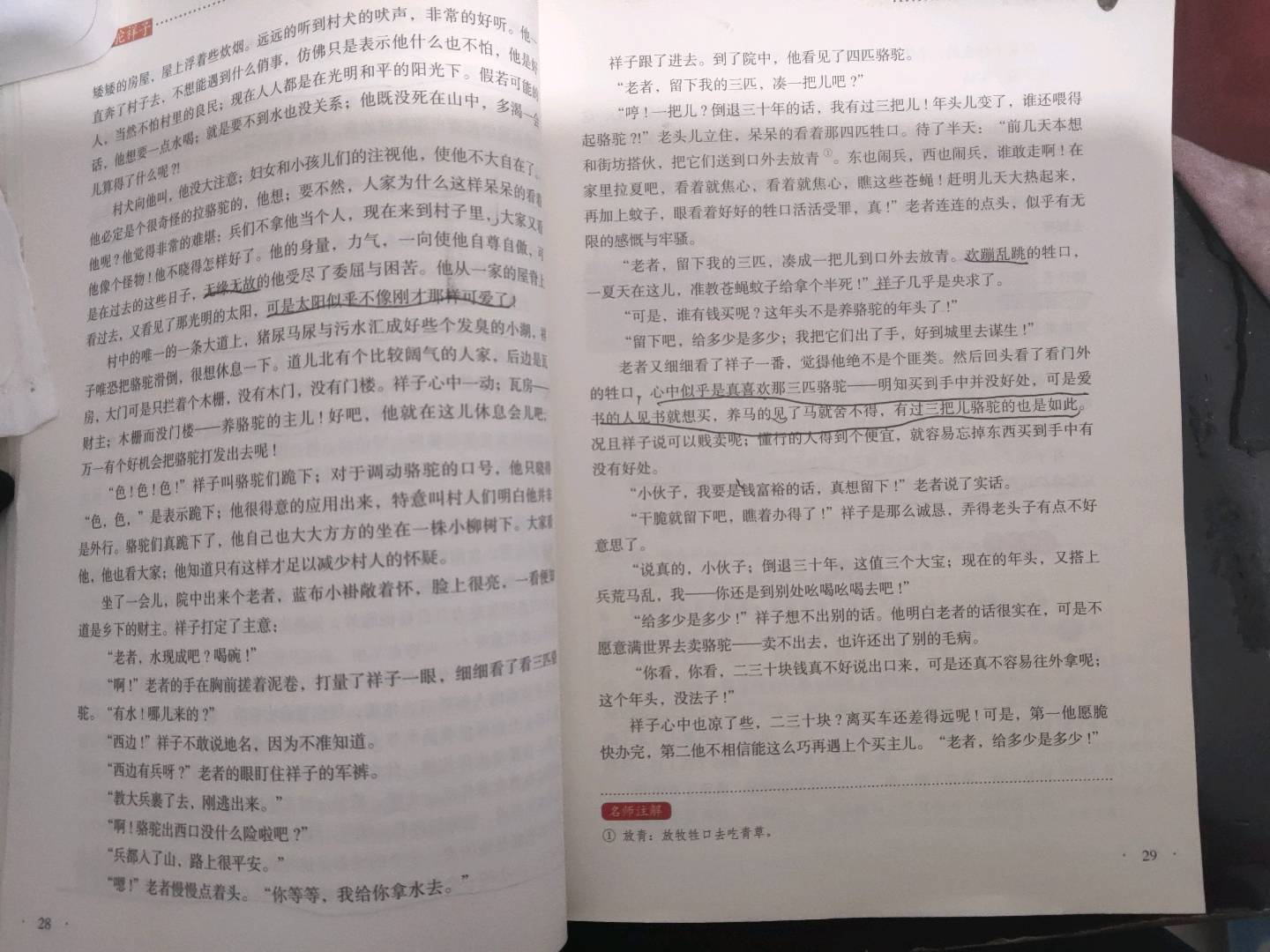 图像