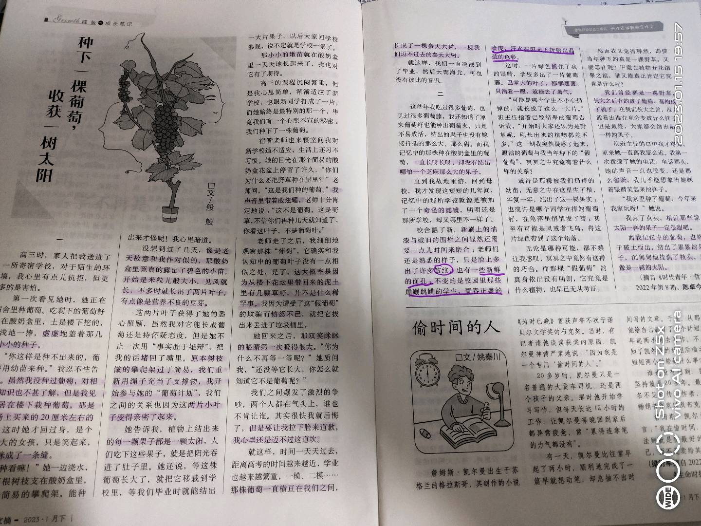 图像