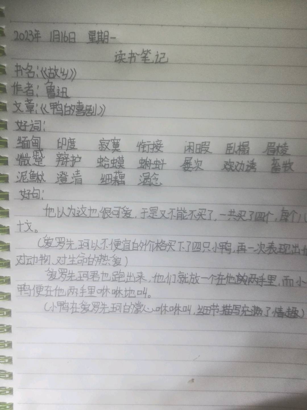 图像
