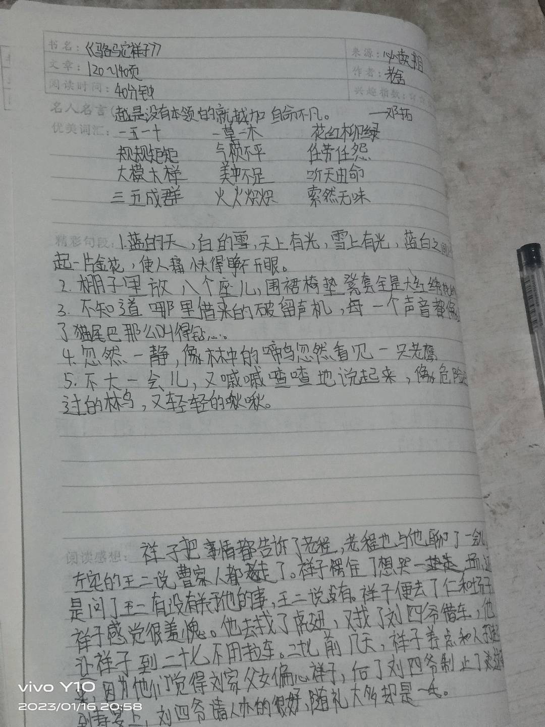 图像