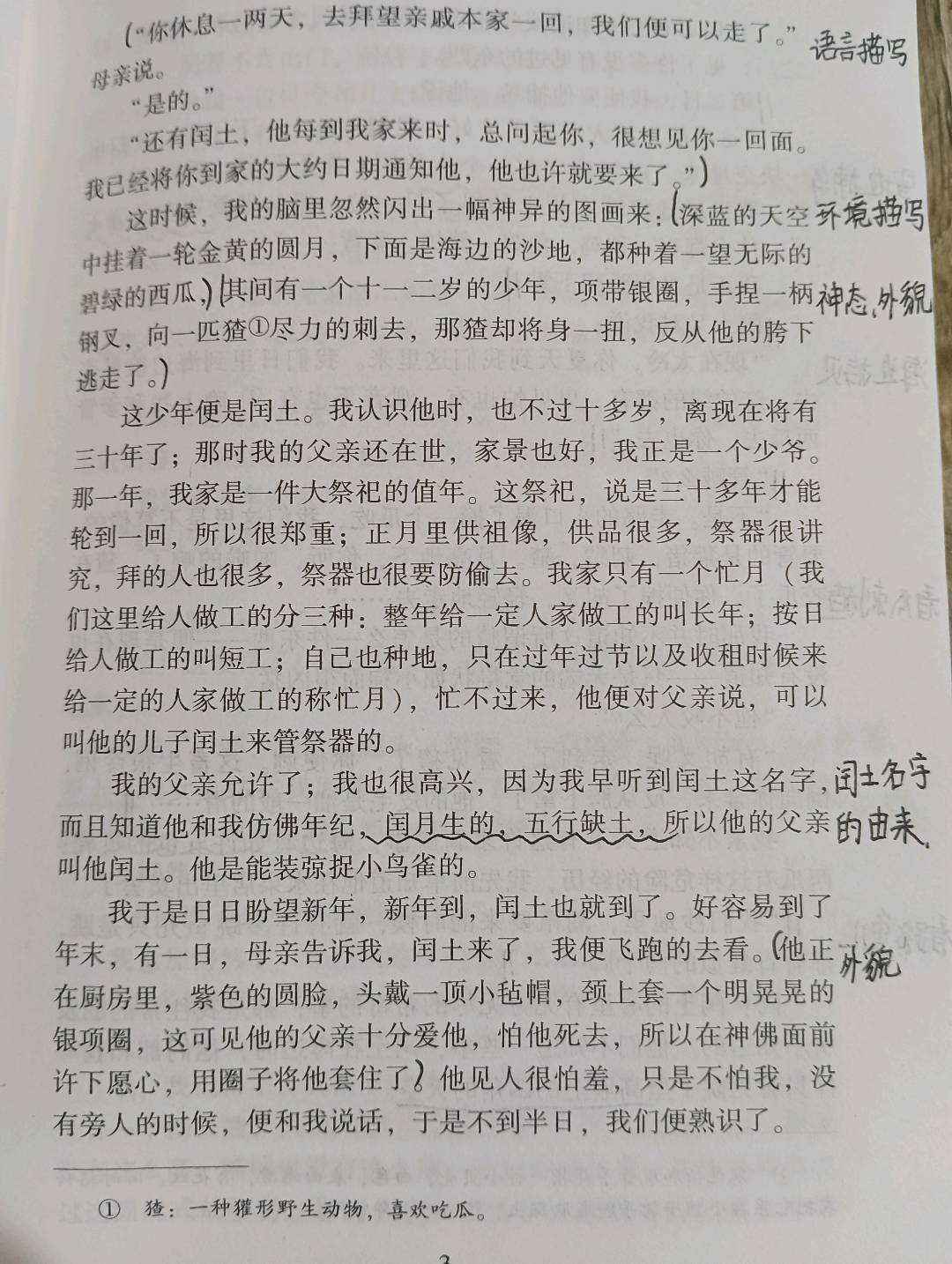 图像