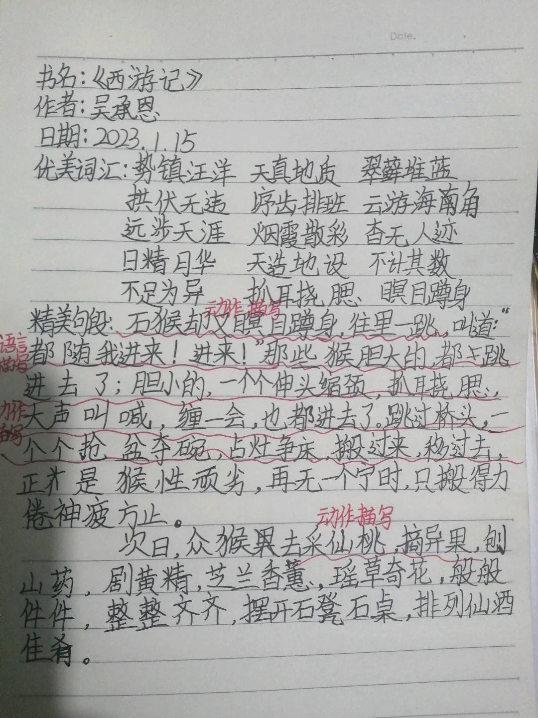 图像