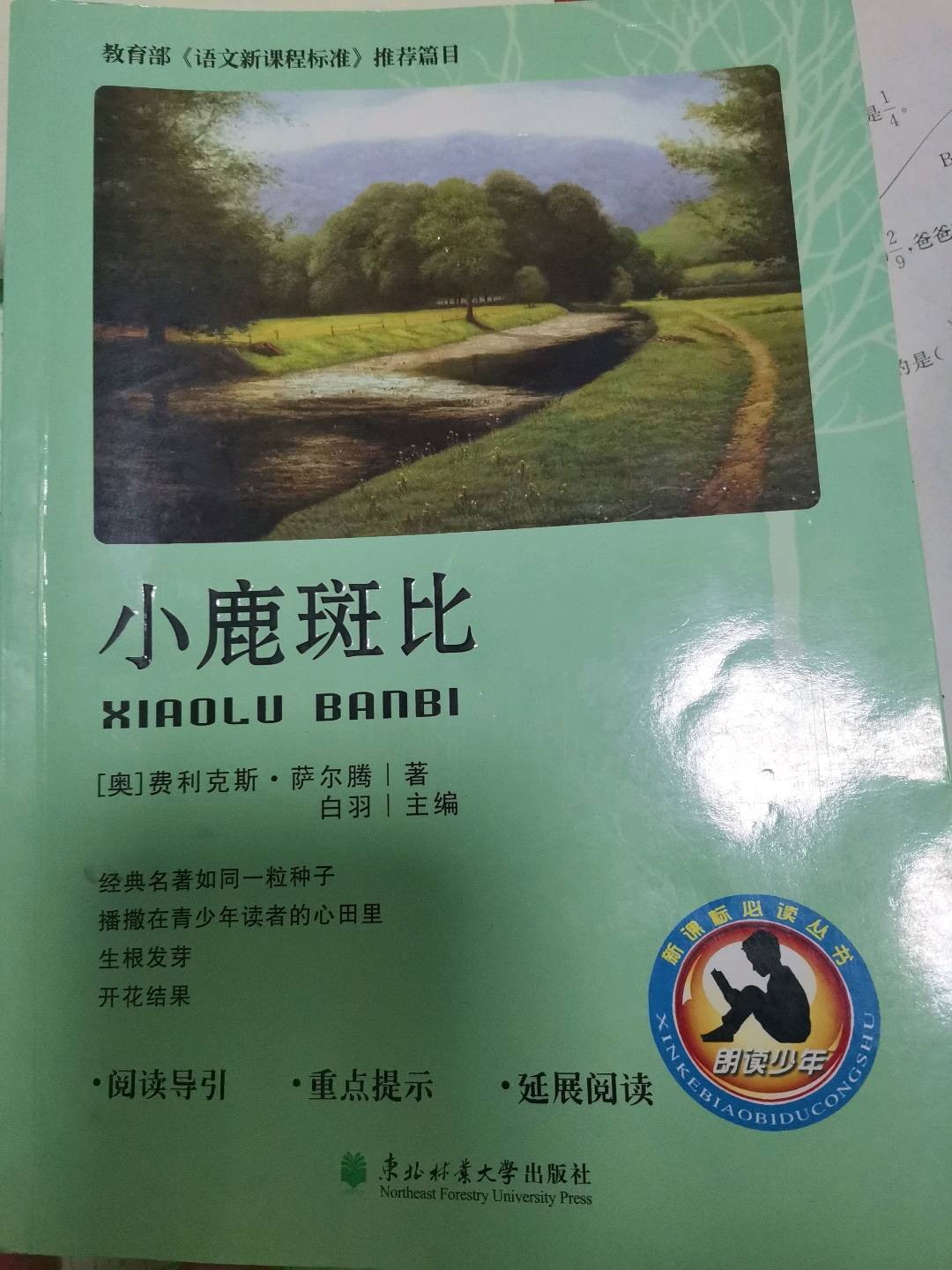 图像