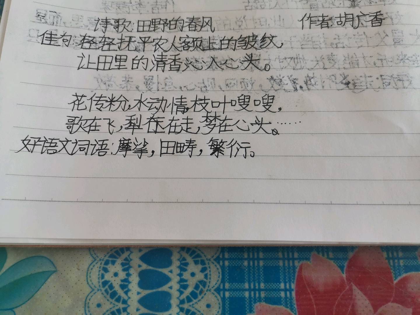 图像