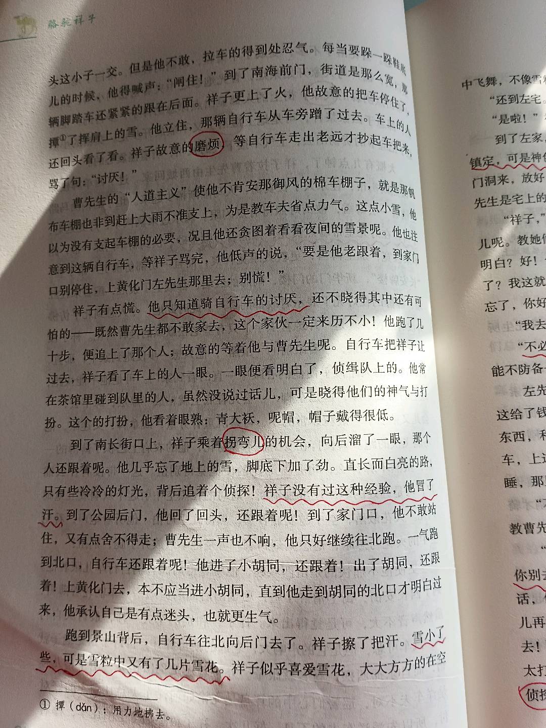 图像