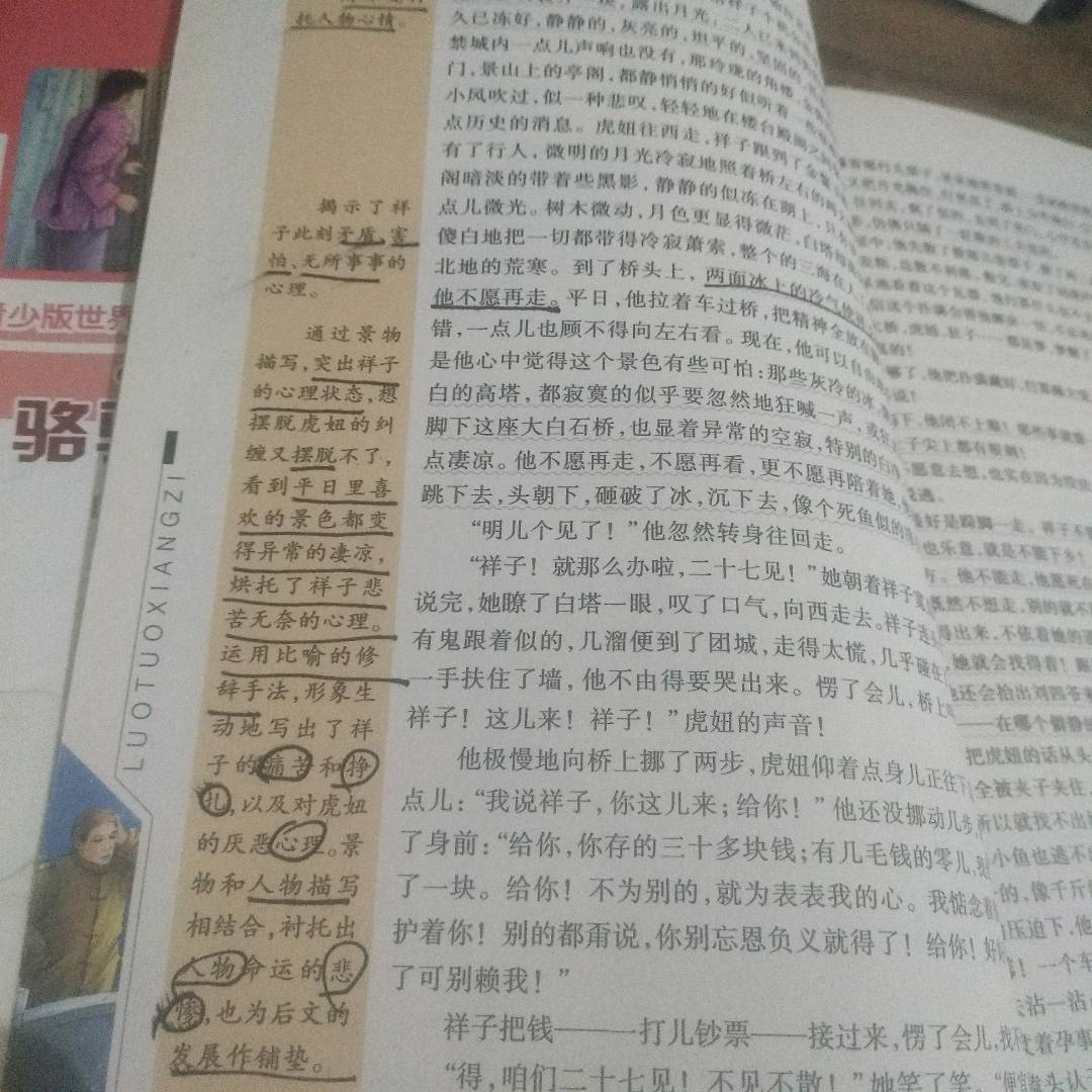 图像