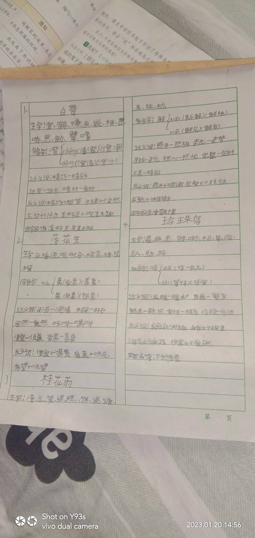 图像