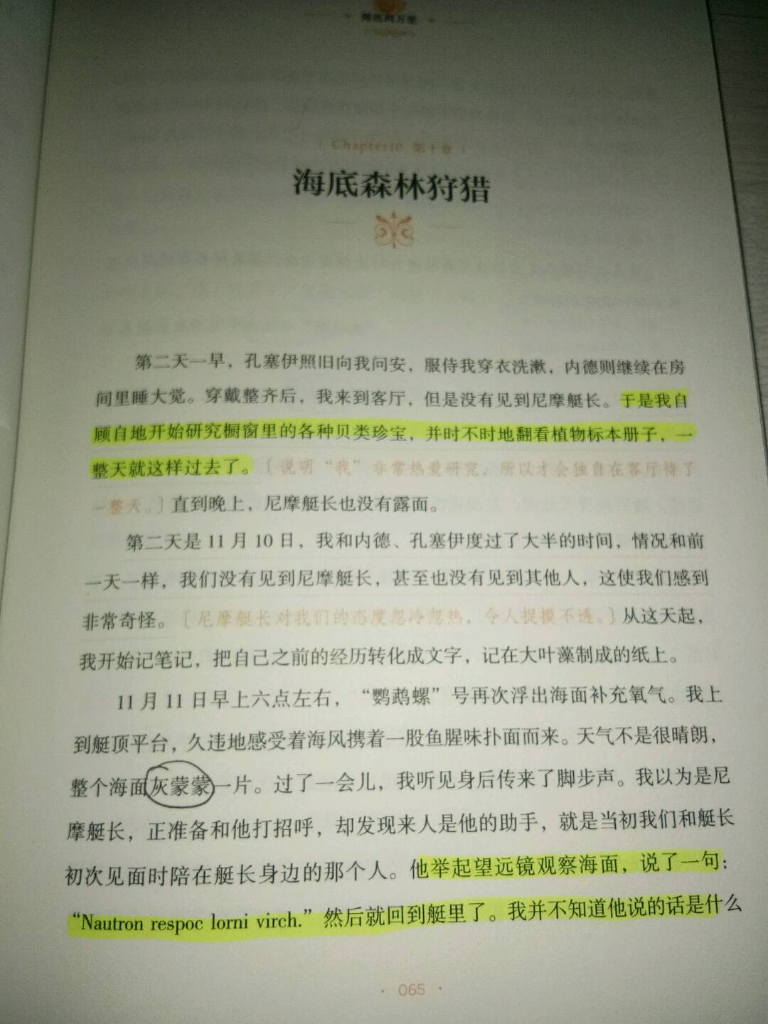 图像