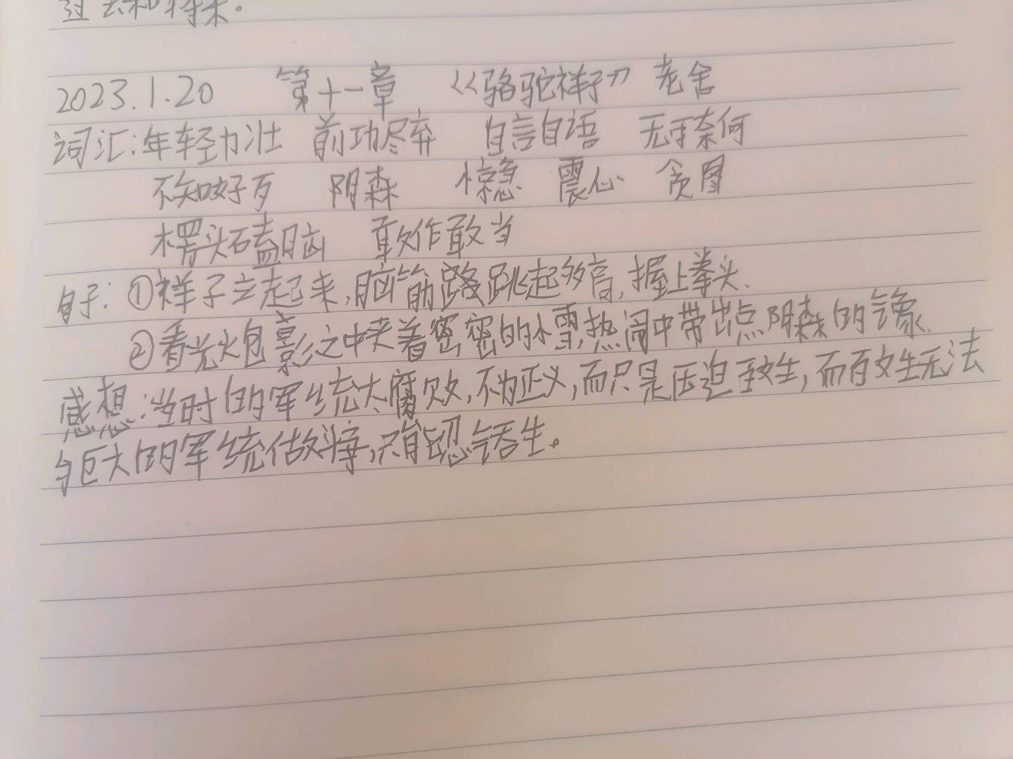 图像
