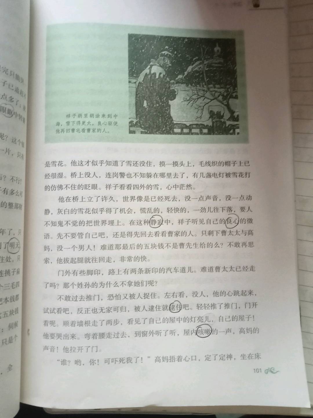 图像