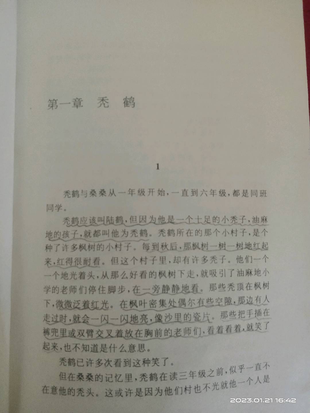 图像