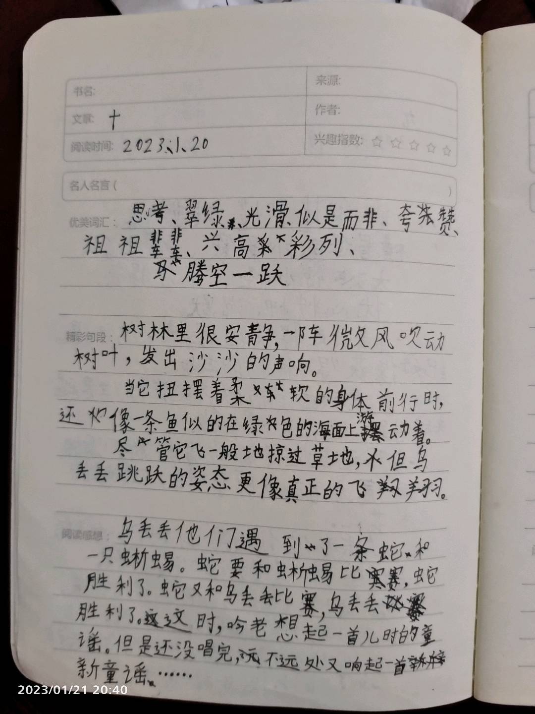 图像