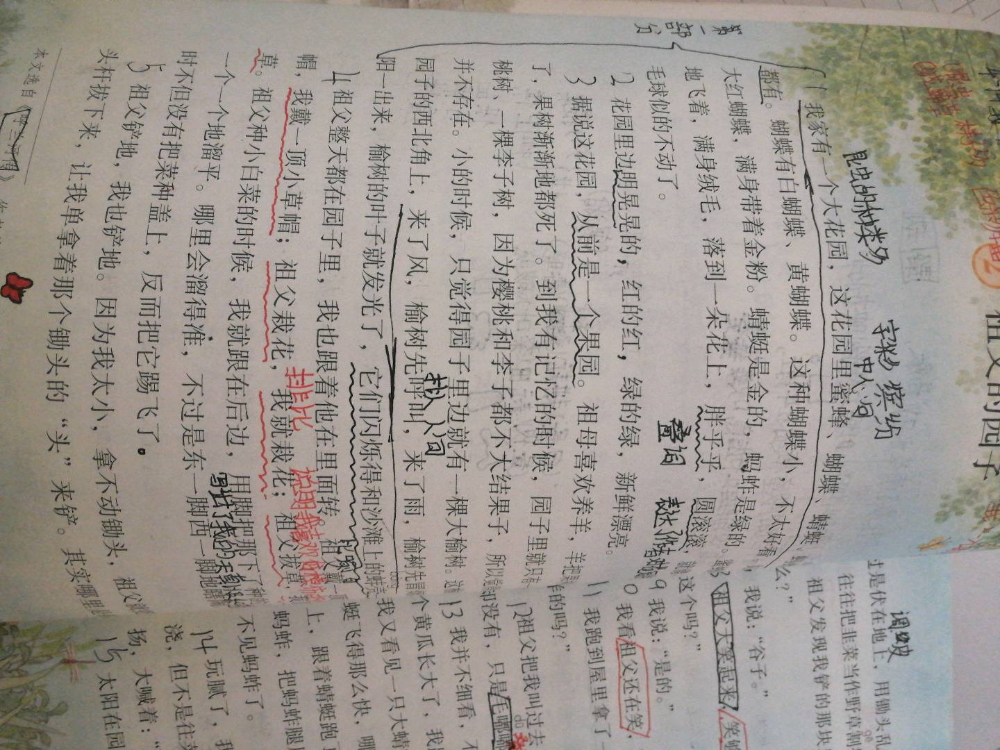 图像