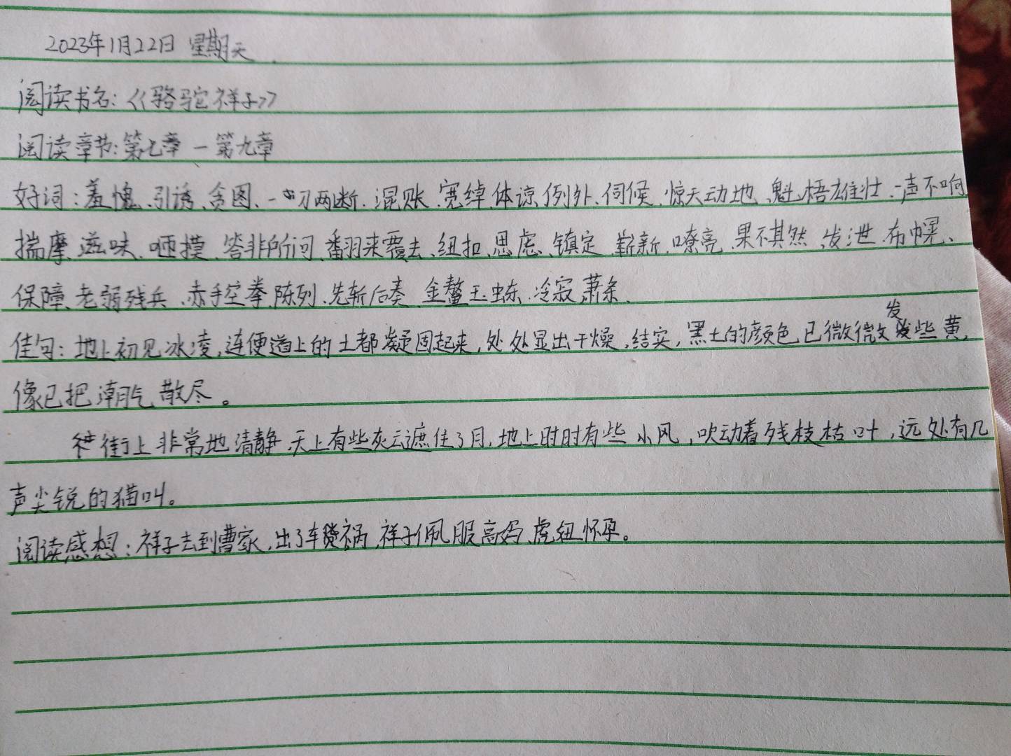 图像