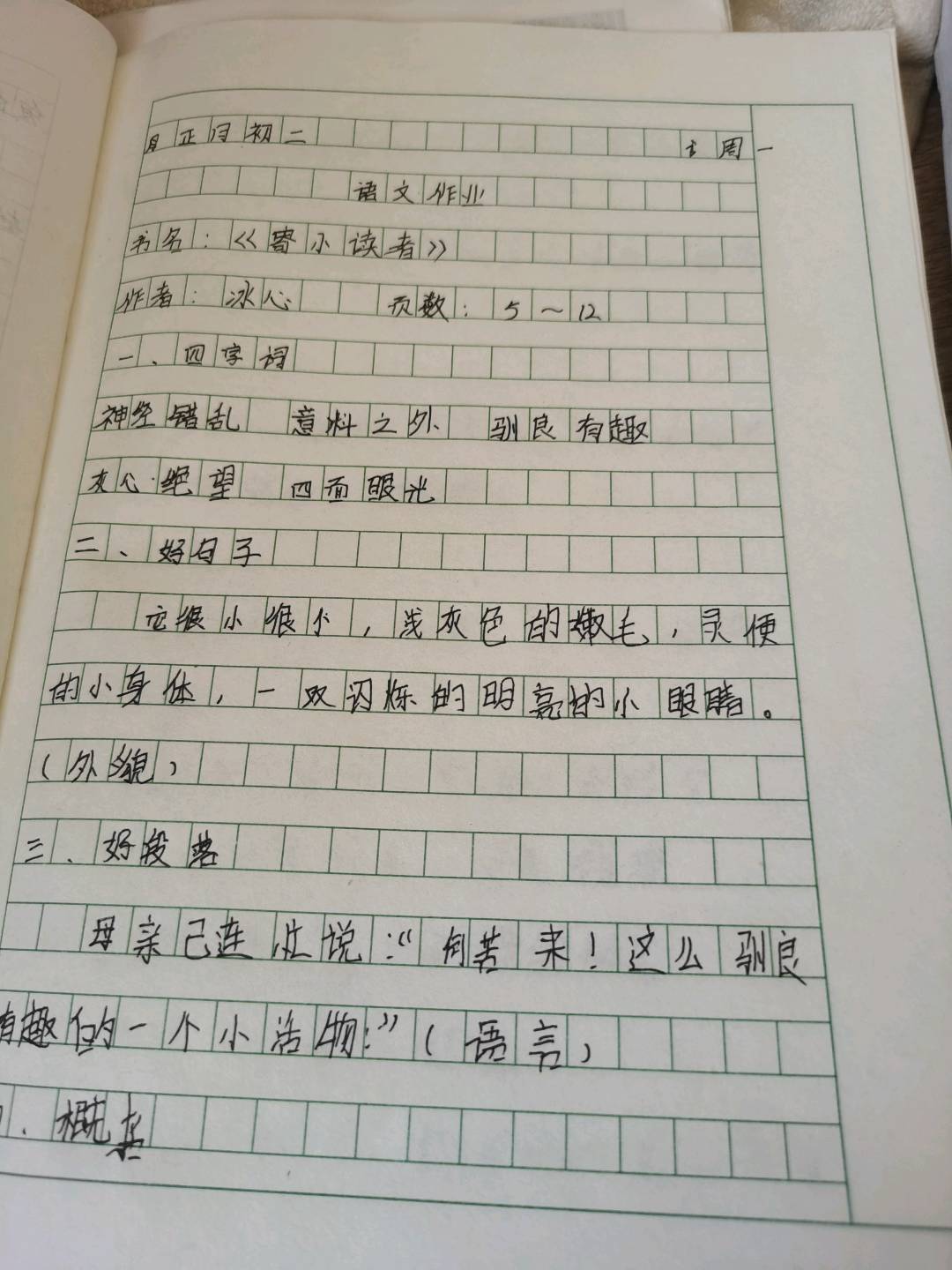 图像