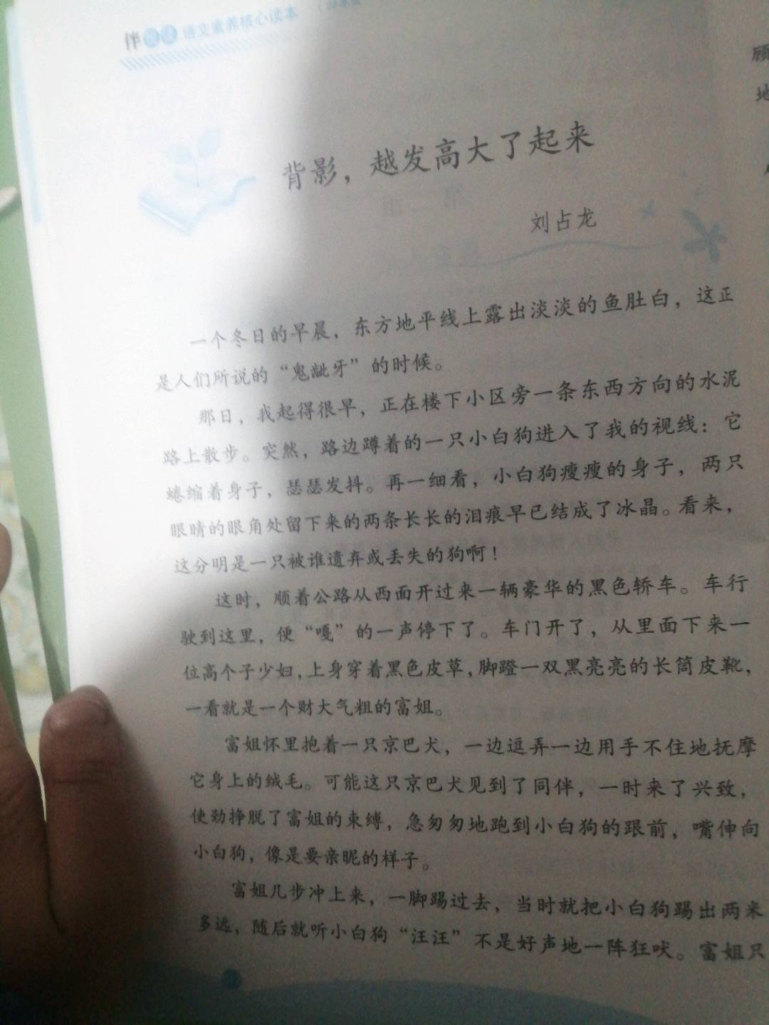 图像
