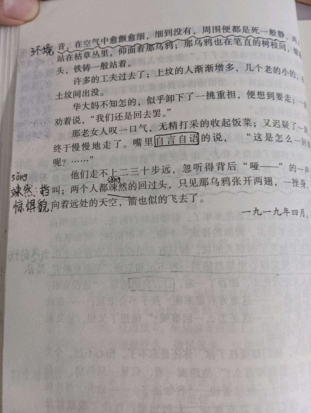 图像