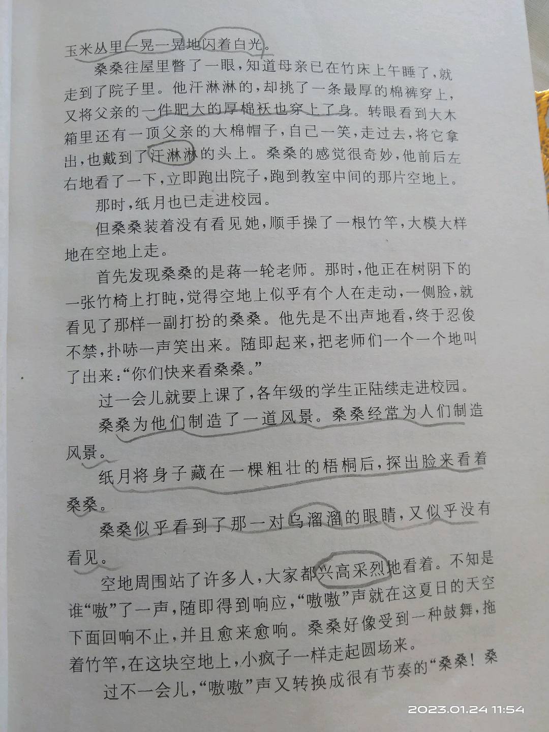 图像